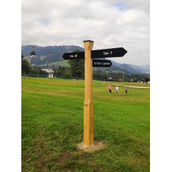 Totem néoclassic robinia