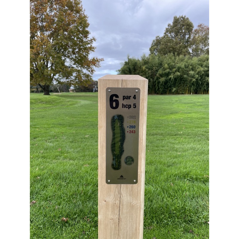 Panneau bois et or brossé