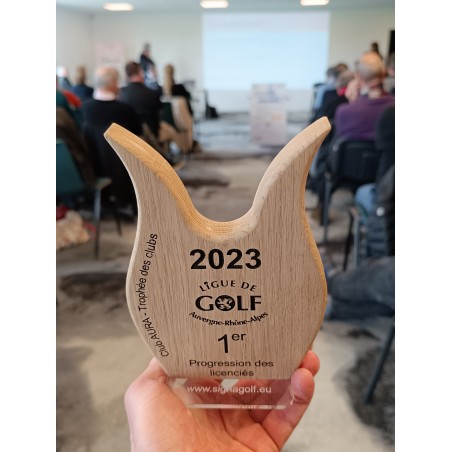 trophée bois et plexiglass