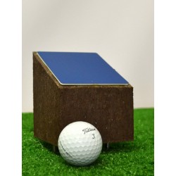 copy of Tee Marker Robinia...