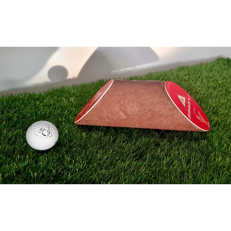 plot départ double avec logo