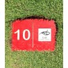Logo golf plaque au sol