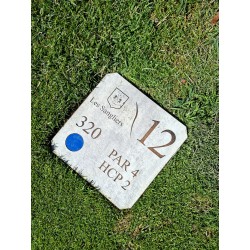 copy of Plaque au sol...